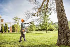 Best Tree Disease Treatment  in , MS